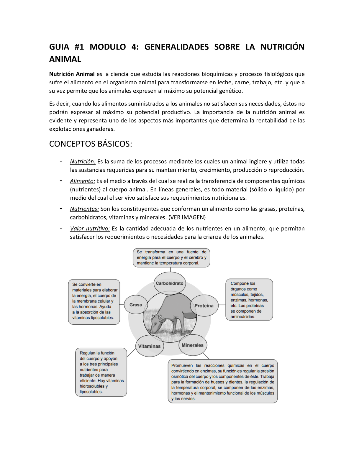 GUIA I Generalidades Sobre LA Nutrición Animal - GUIA #1 MODULO 4:  GENERALIDADES SOBRE LA NUTRICIÓN - Studocu