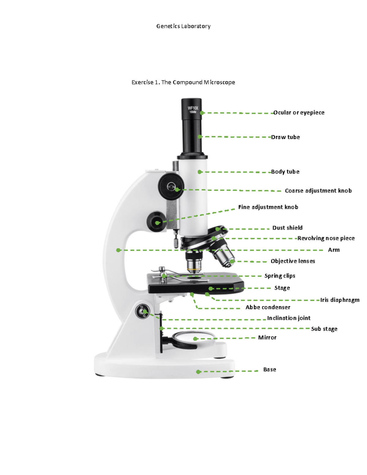 genetics-laboratory-exercise-1-the-compound-microscope-genetics