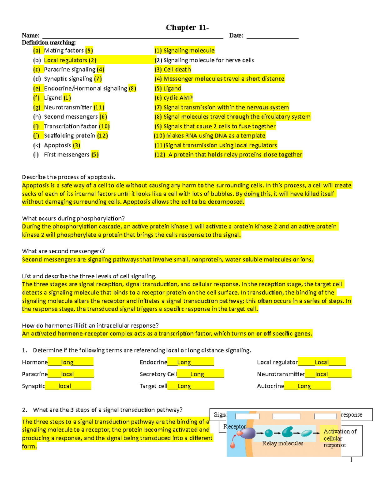 assignment 11. chapter homework