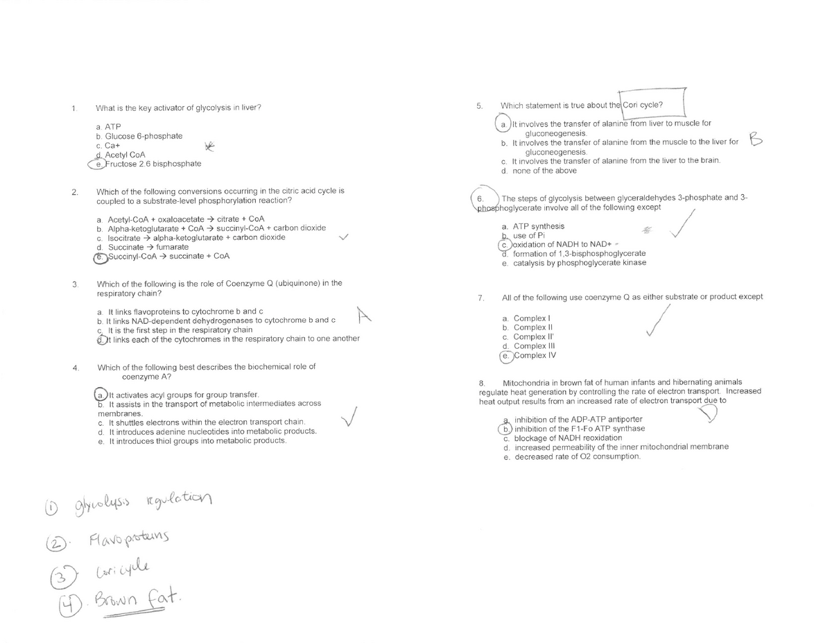 Atp Is Synthesized By All Of The Following Except - Wasfa Blog