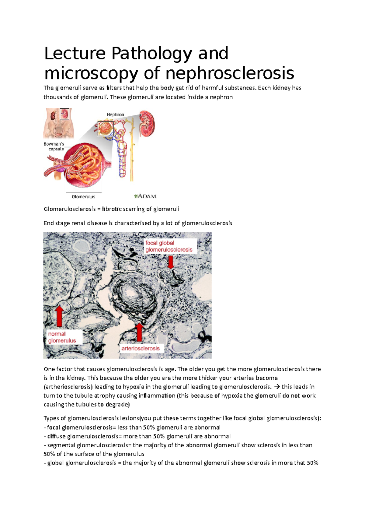 Can Feline Lsa Cause Nephrosclerosis? – VIEZK