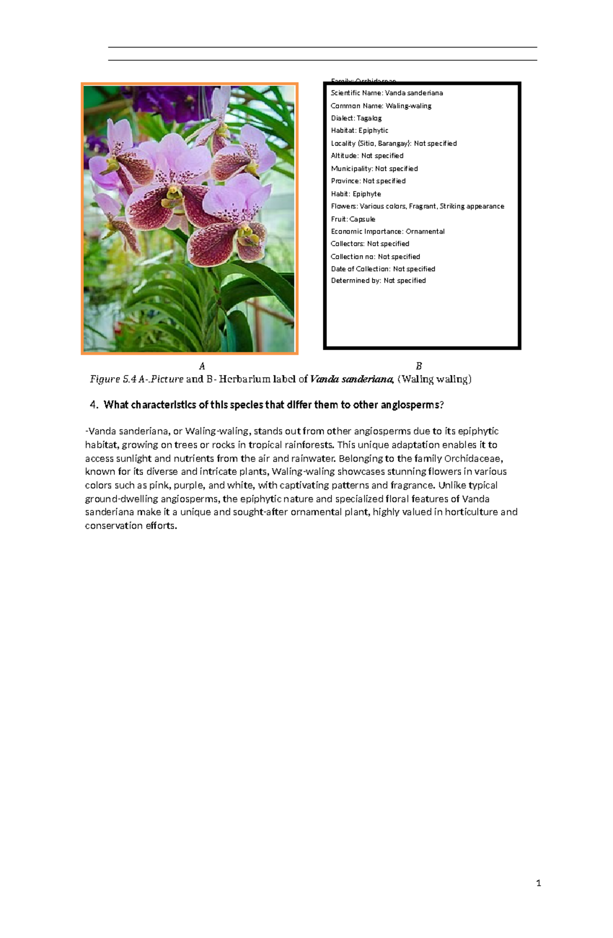 ModuleVascularPlants Angiosperms A B Figure 5 A and B Herbarium