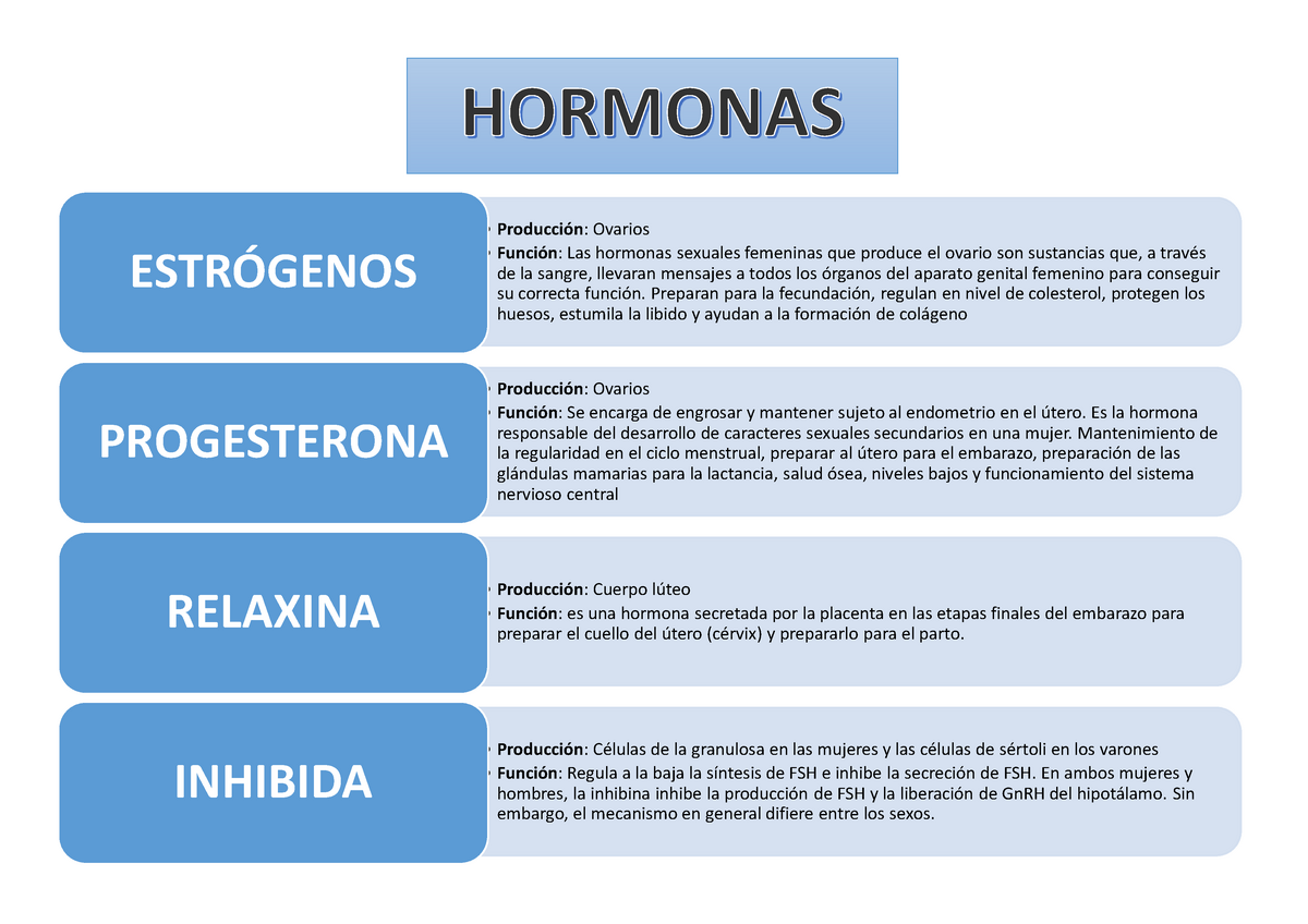 Hormonas Anatomia Producci N Ovarios Funci N Las Hormonas