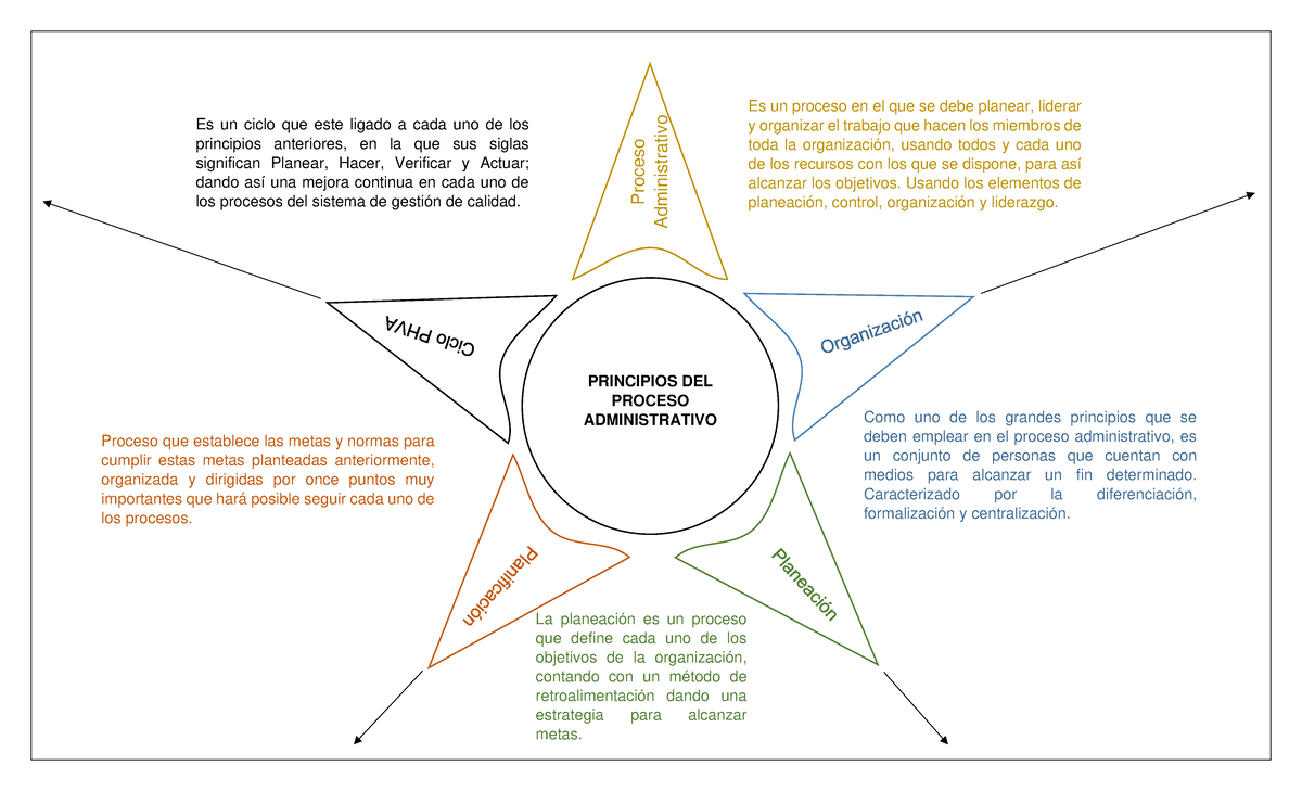 Mapa Cognitivo Tipo Sol La Administración Y Sus Procesos En El Sector Deporte Y Recreación 4662