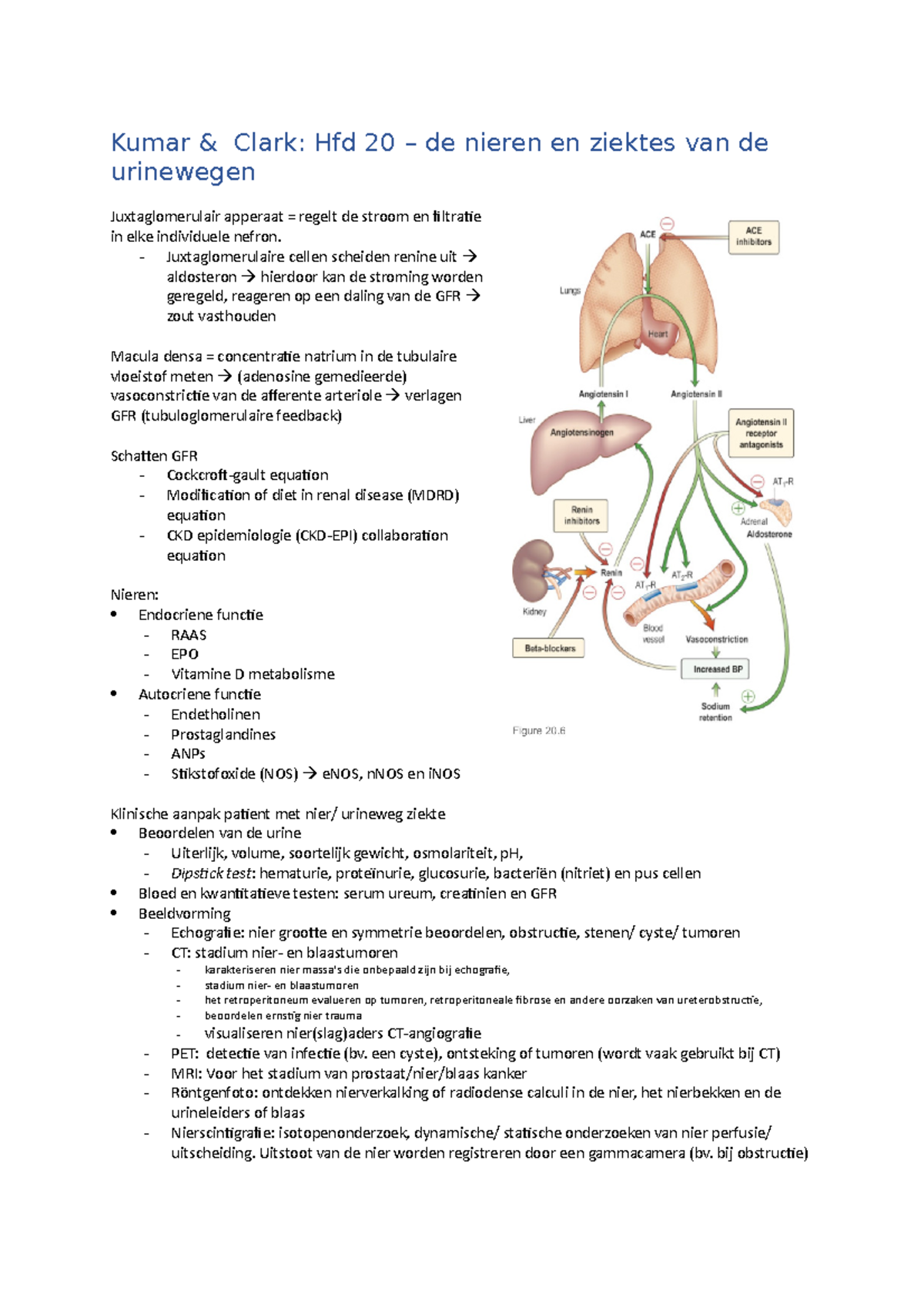 Leerstof Week 4 - Kumar & Clark: Hfd 20 – De Nieren En Ziektes Van De ...