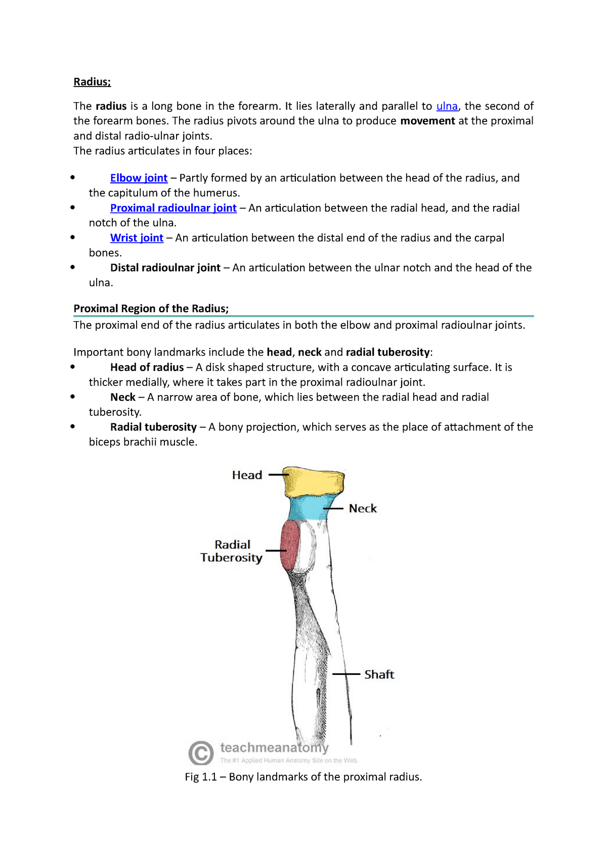 The Humerus - Proximal - Shaft - Distal - TeachMeAnatomy