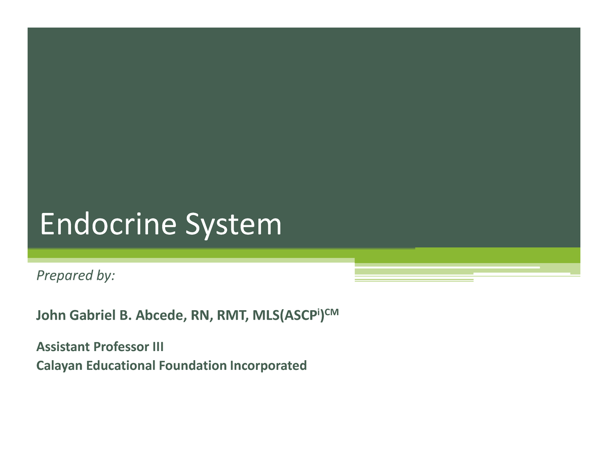 Anatomy Physiology 08 Endocrine System - Endocrine System Prepared By ...