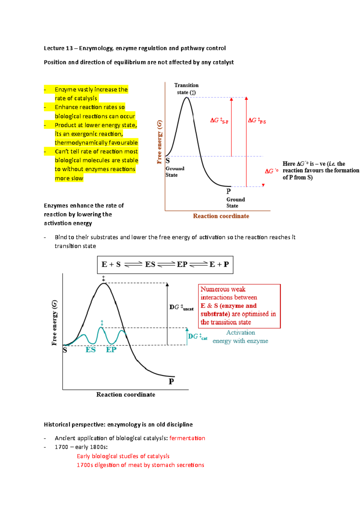Cofactors and enzyme (3 lectures worth of notes Lecture 13