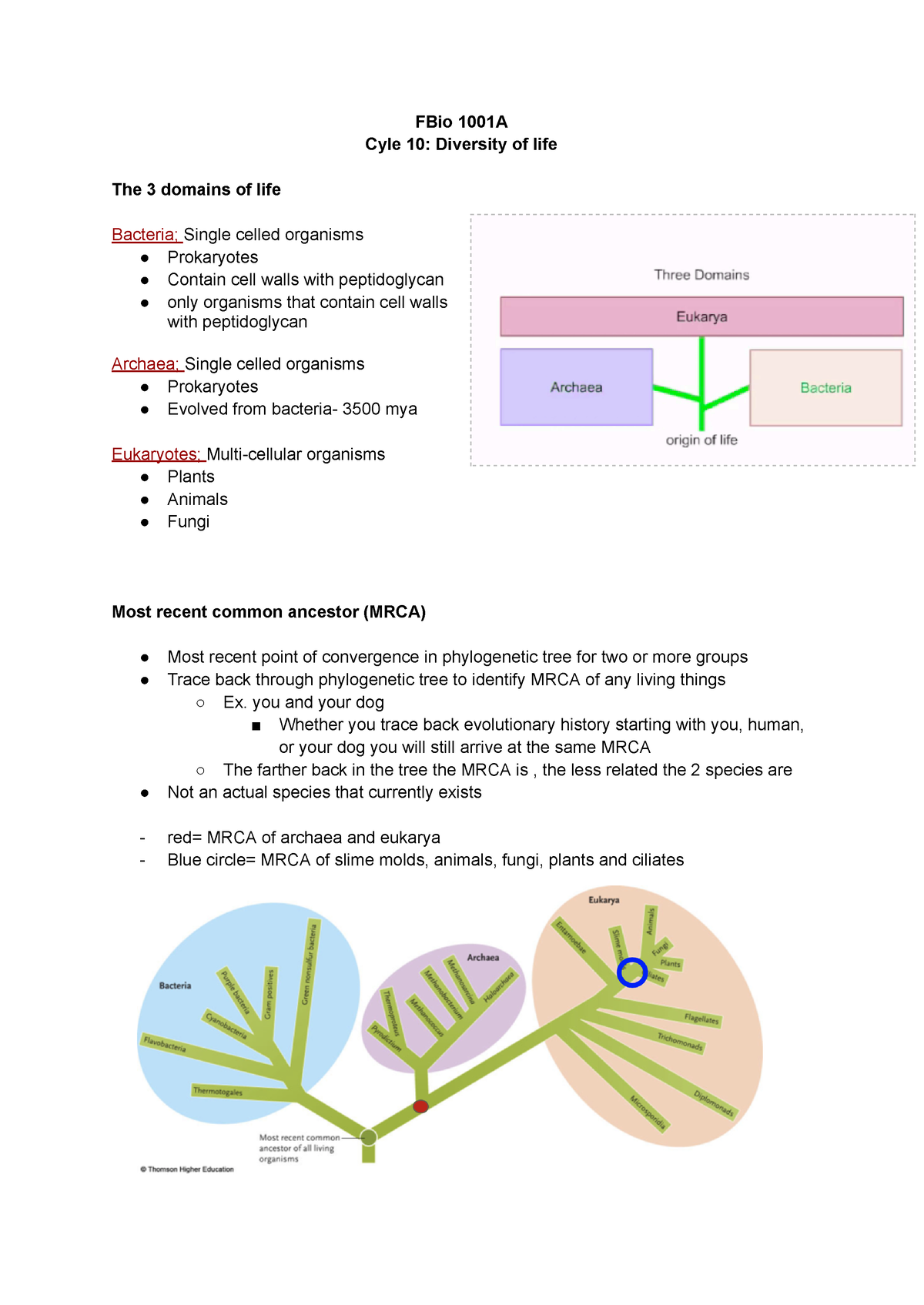 Bio 1001A Cycle 10 Diversity of life - FBio 1001A Cyle 10: Diversity of ...