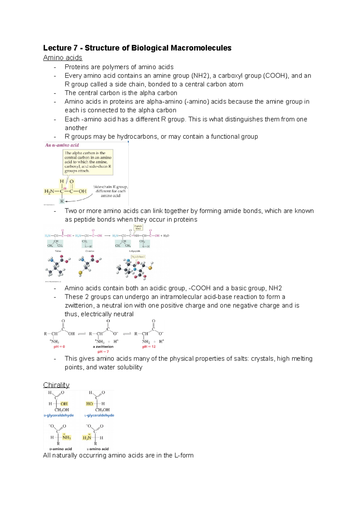 Lect 7 structure of biological macromolecules Lecture 7 Structure