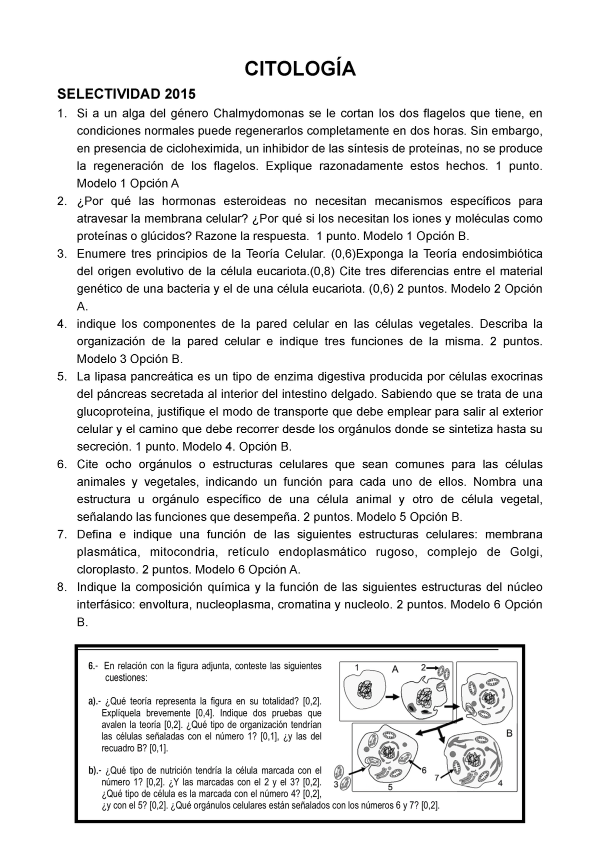 Citología - Ejercicios De Selectividad - CITOLOGÍA SELECTIVIDAD 2015 Si ...