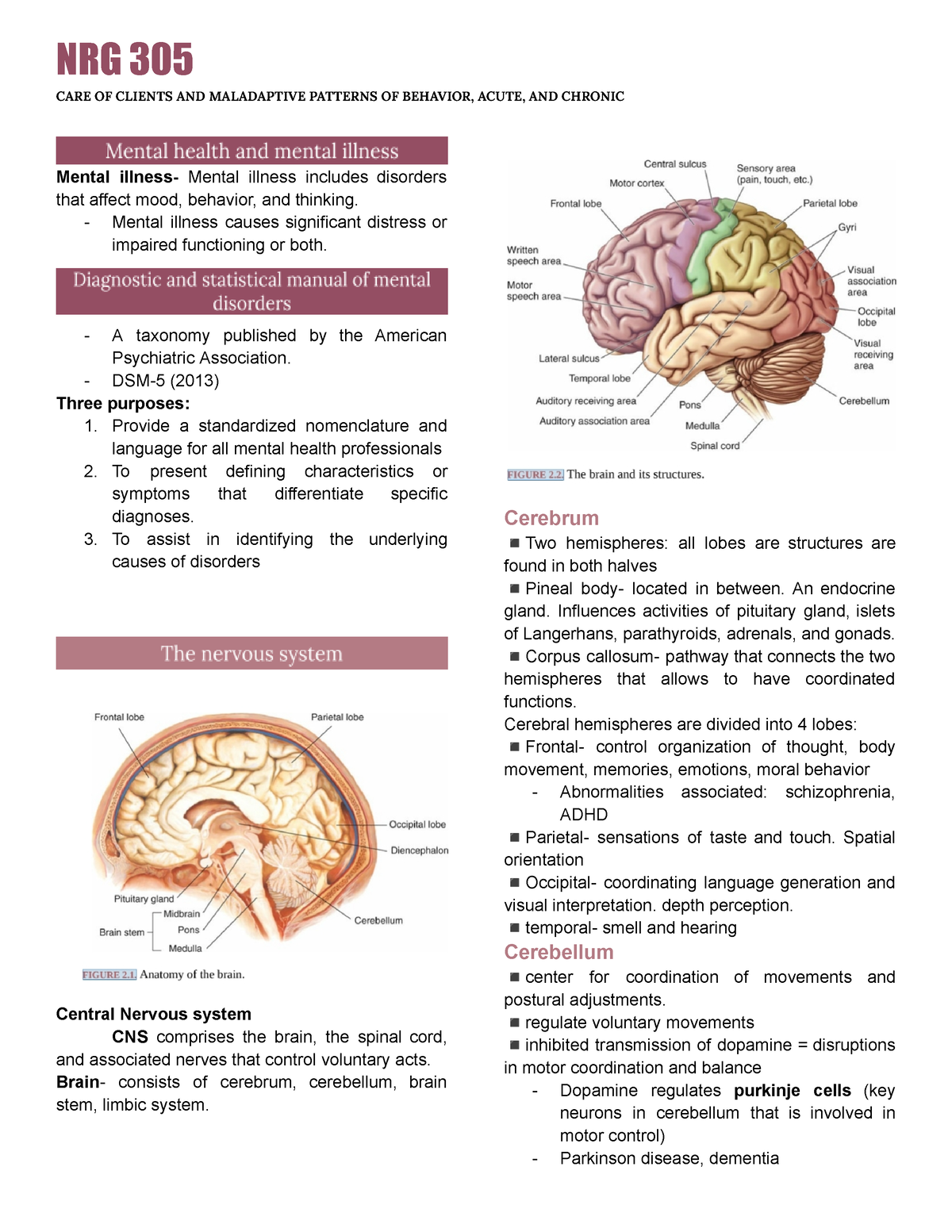 305 Prelims - Notes - CARE OF CLIENTS AND MALADAPTIVE PATTERNS OF ...