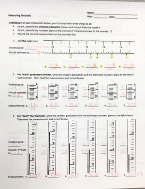 Kami Export - Breeding Chickens Student Sheet - Name