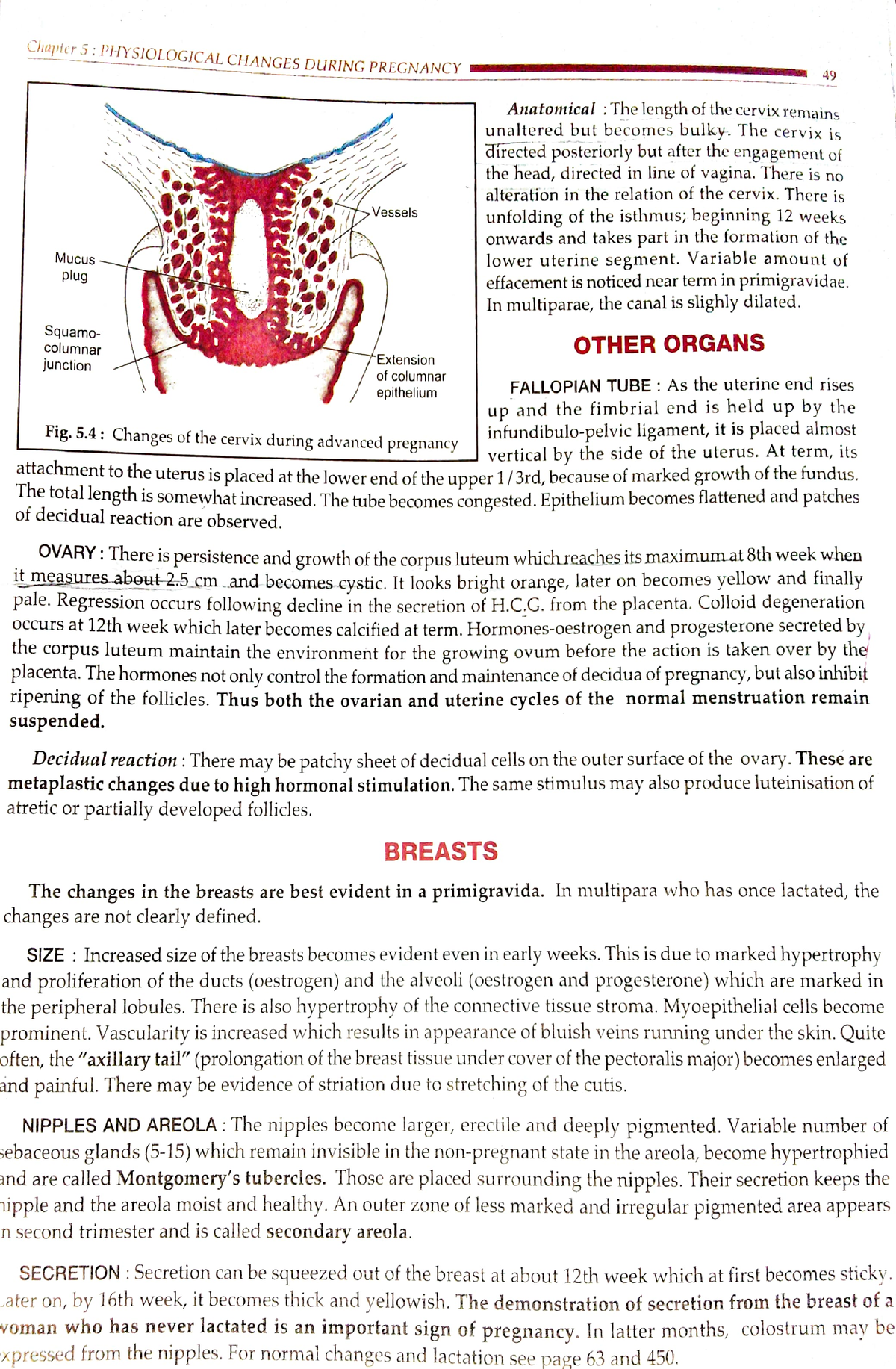 14 Jun 2023 Change During Pregnancy Msc Nursing Studocu   Thumb 1200 1833 