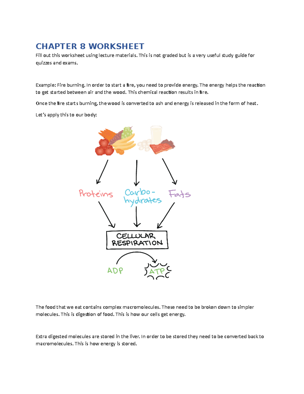 Ch Worksheet Practice For Nutrition - CHAPTER 8 WORKSHEET Fill Out This ...