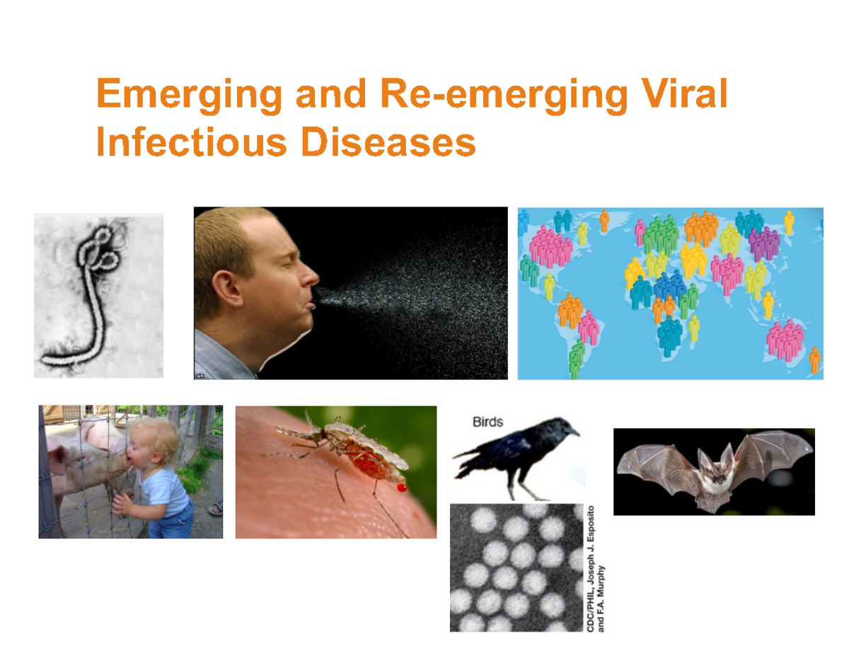 Emerging And Re Emerging Viral Diseases Emerging And Re Emerging Viral Infectious Diseases