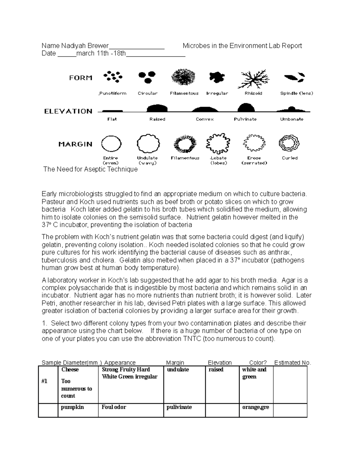 Copy of Contamination Plate Lab Report %283%29 - Name Nadiyah Brewer ...