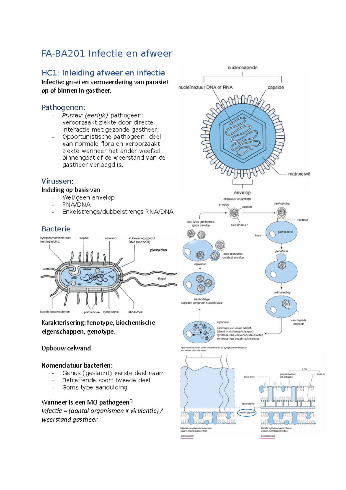 Samenvatting Infectie en afweer - Infectie en afweer HC1: Inleiding ...
