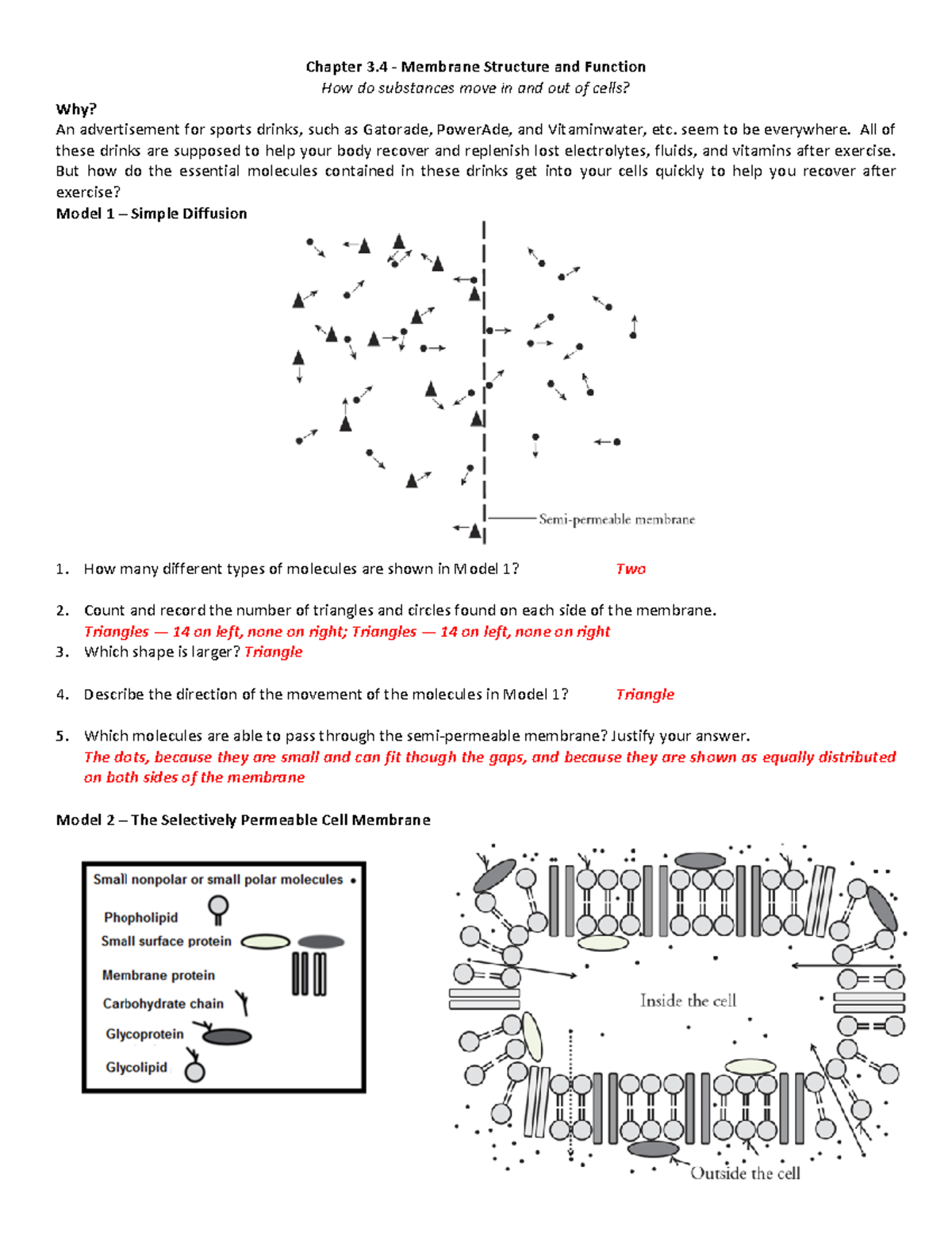 Chapter 3 4 membrane structure and function how do - Chapter 3 - Membrane  Structure and Function How - Studocu