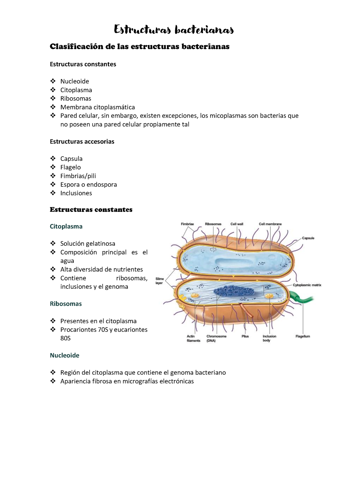 Clase 3 Estructuras Bacterianas - Clasificación De Las Estructuras ...