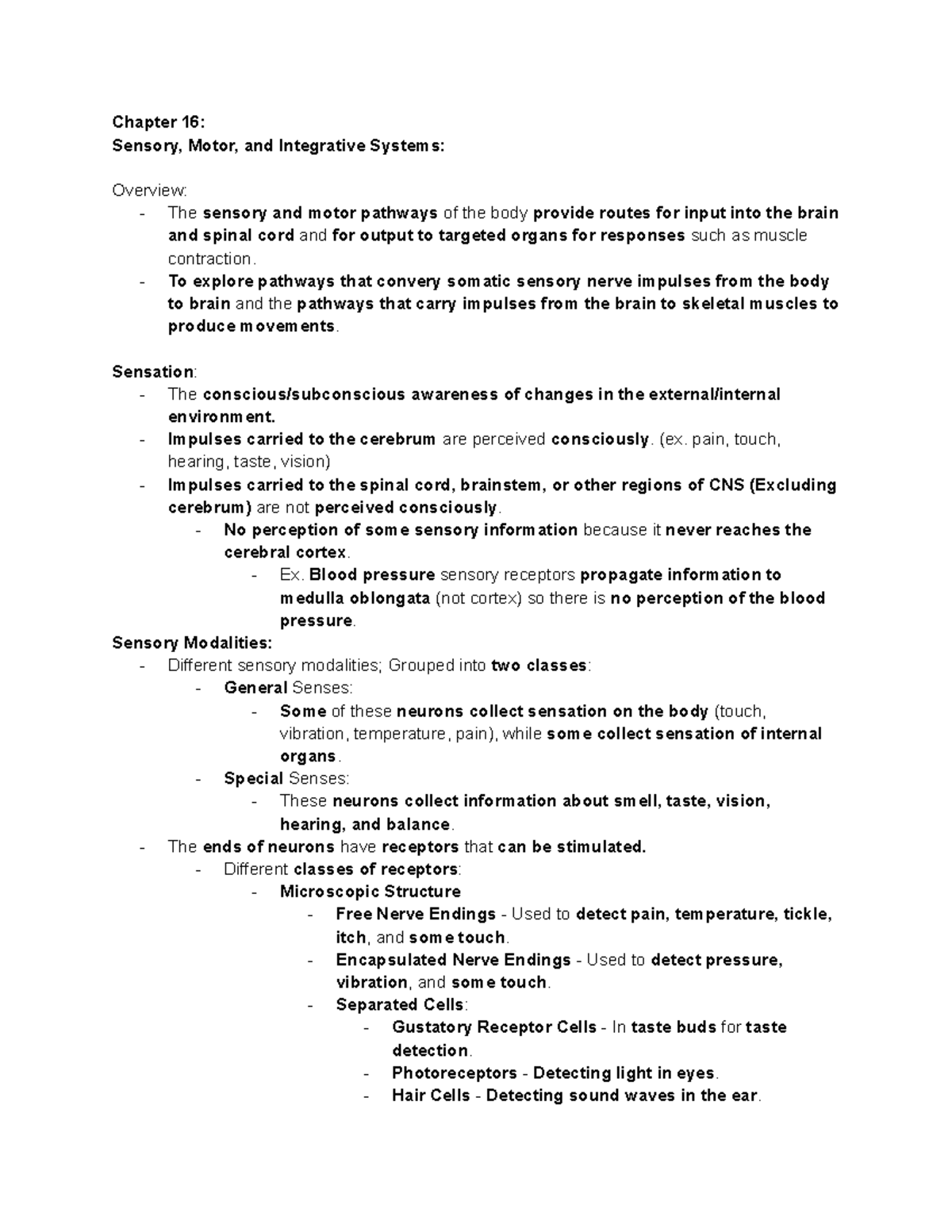 Anatomy And Physiology Lecture Chapter 16 Sensory Motor And Anatomy And Physiology Lecture Chapter 16 Sensory Motor And