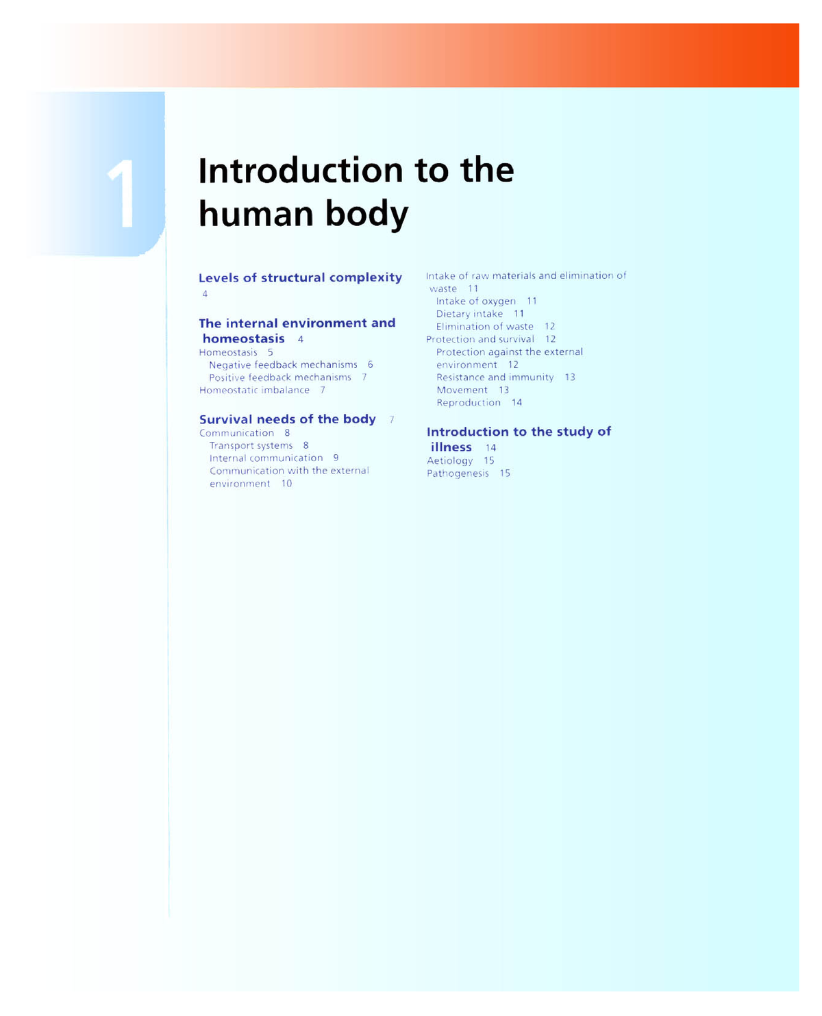 human body introduction for essay