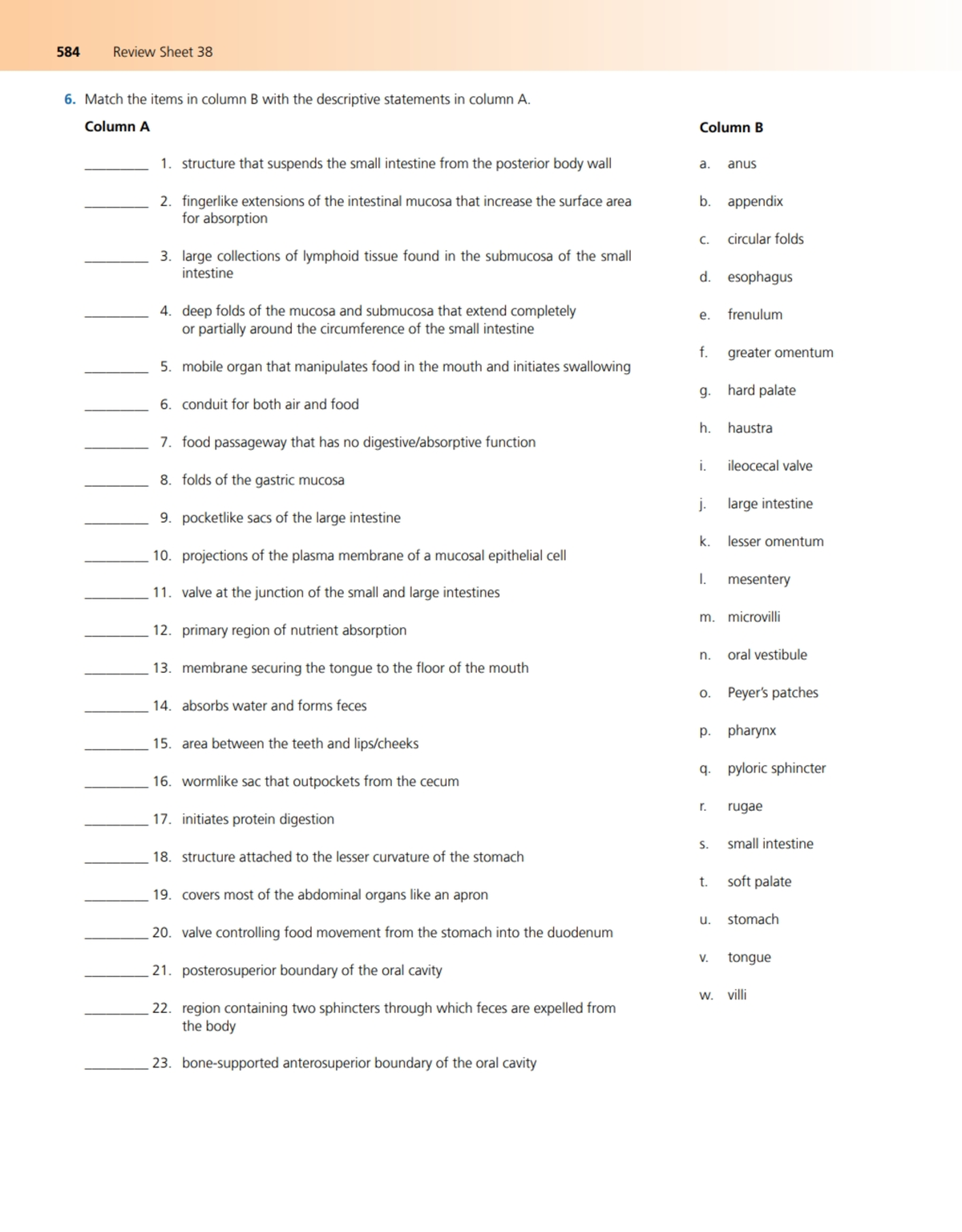 Final Lab - 584 Review Shee t 38 Match t he items in column Bwith the ...