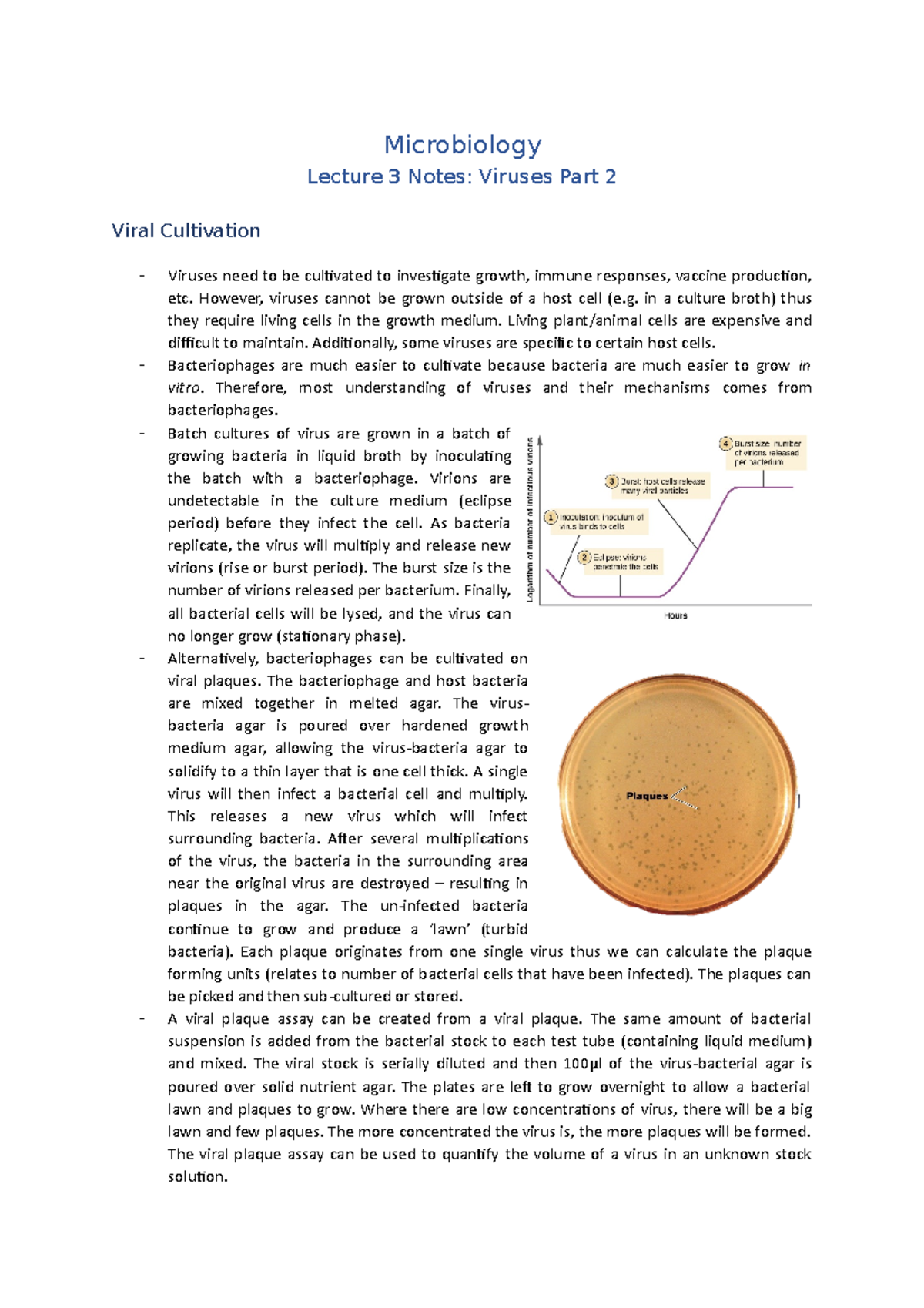 Lecture 3 Notes (Viruses Part 3) - Microbiology Lecture 3 Notes ...