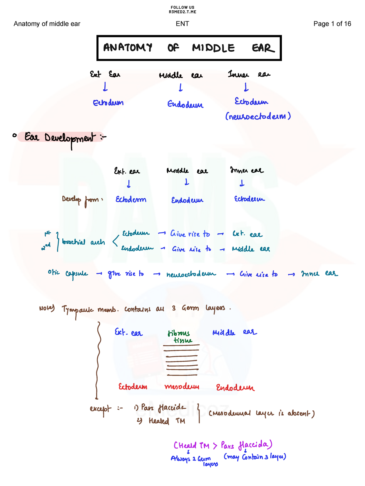 ENT - Dams 3c notes - Medical - Anatomy of external ear ENT Page 1 of ...