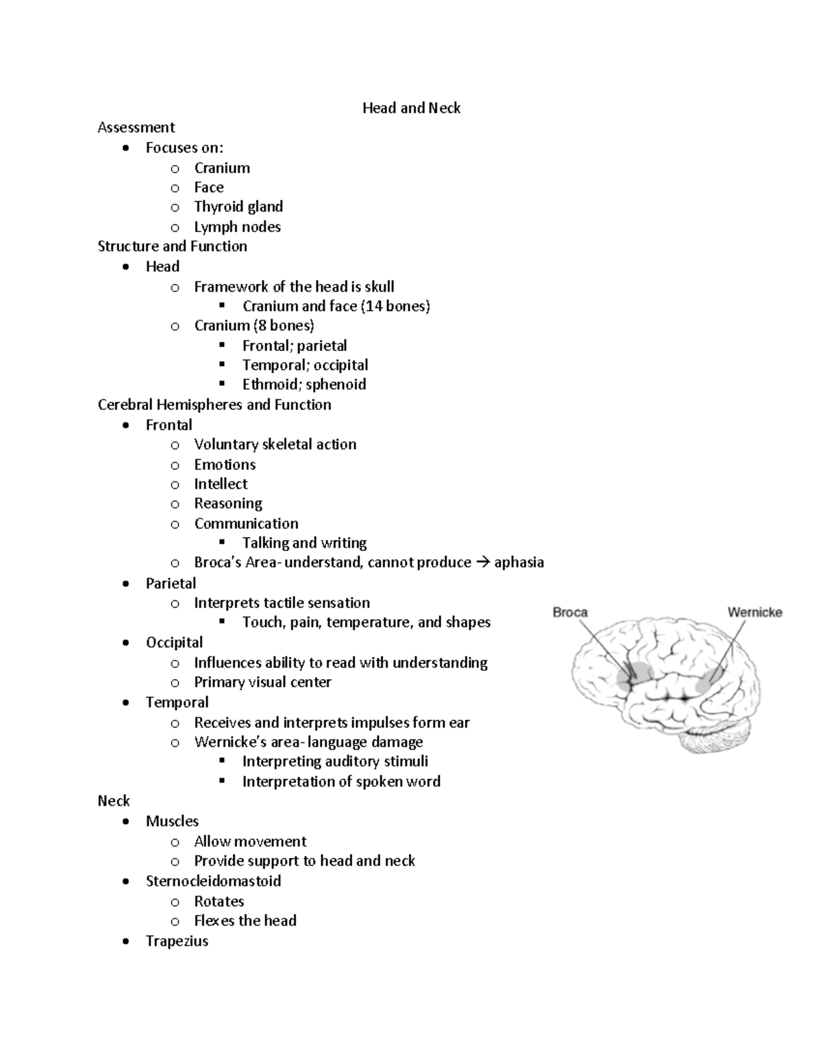Head and Neck - Nursing assessments of the head and neck - Head and ...