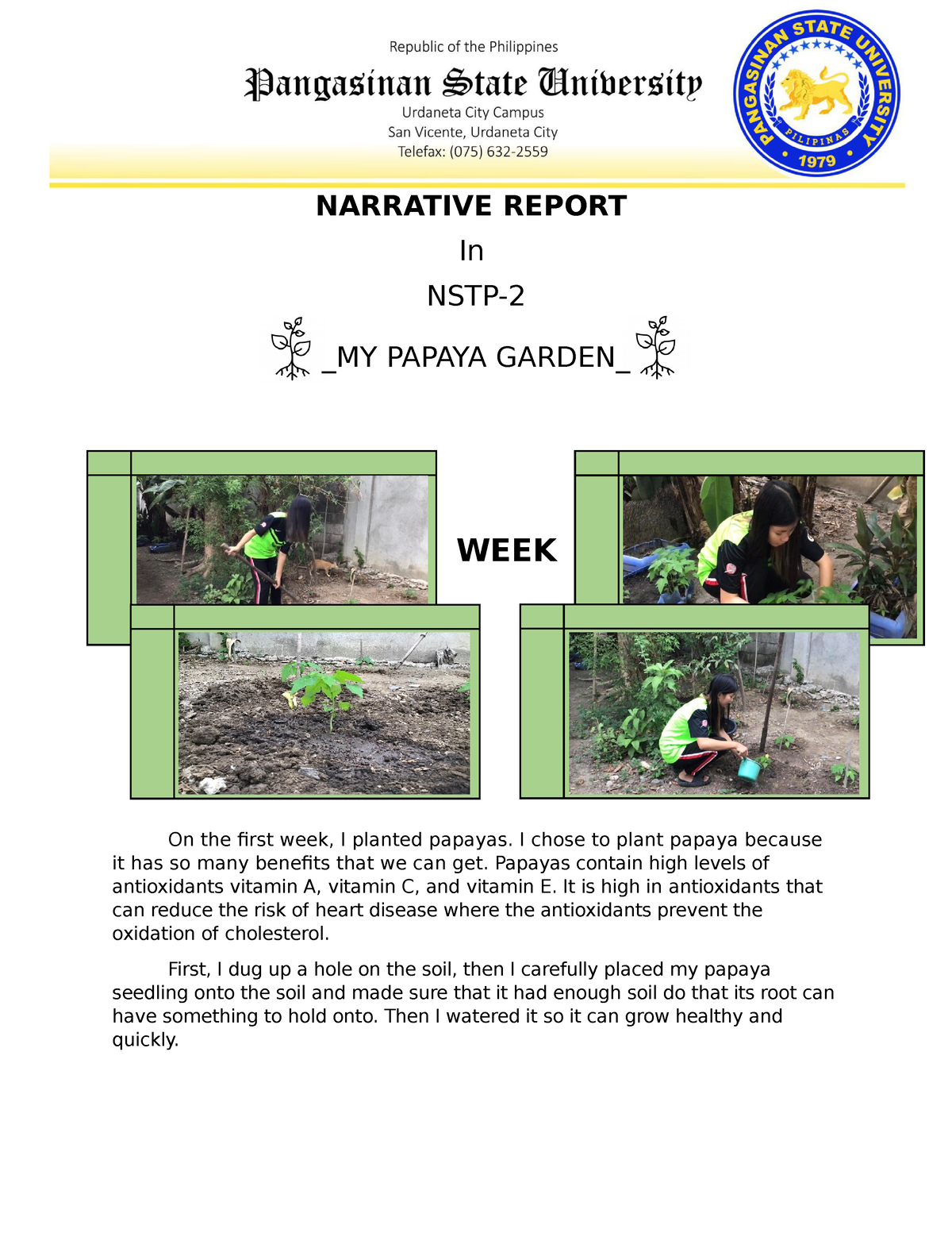 narrative-report-on-nstp-2-narrative-report-in-nstp-my-papaya-garden