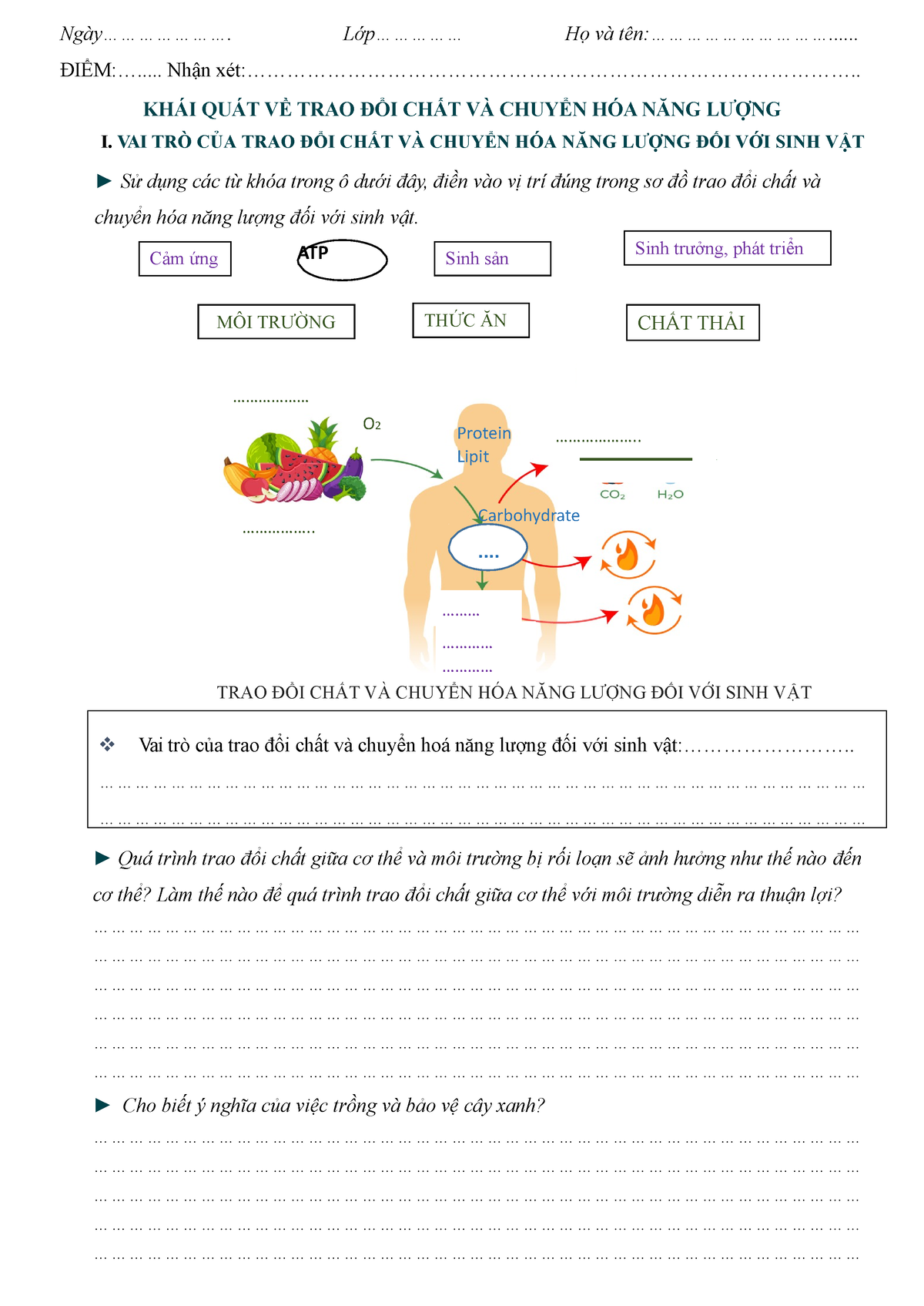 BÀI 1. PHT - KHÁI QUÁT TĐC VÀ CHNL - .................. O 2 Protein ...