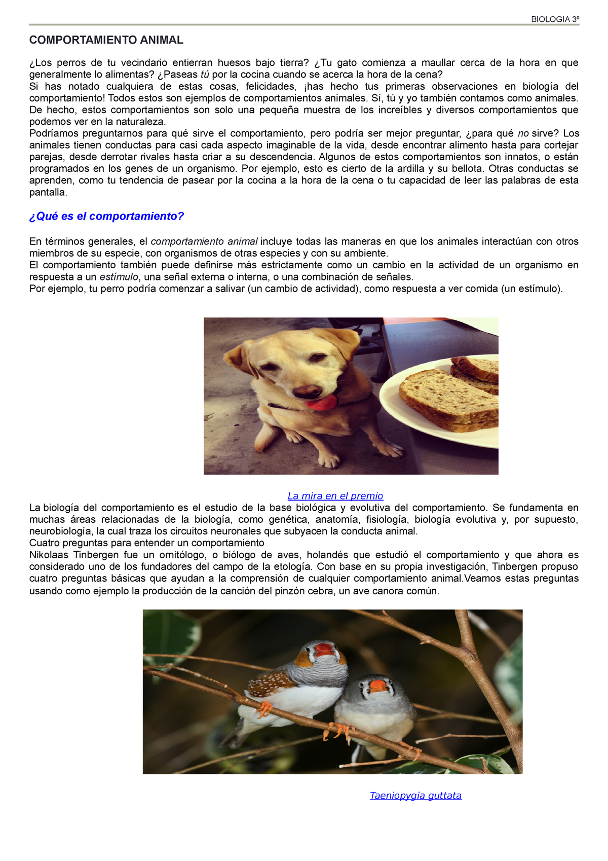 Comportamiento animal 1 - COMPORTAMIENTO ANIMAL ¿Los perros de tu  vecindario entierran huesos bajo - Studocu