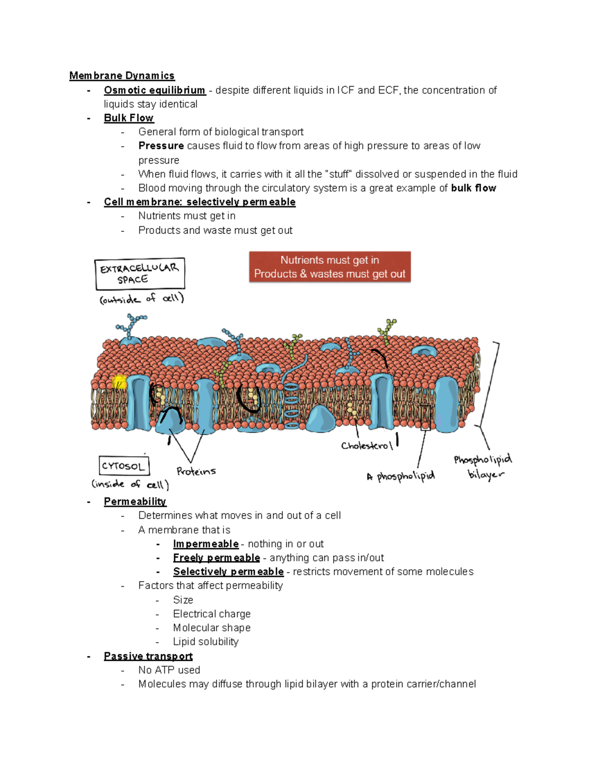 Chapter 5 Physiology Video Lecture - Membrane Dynamics - Osmotic ...