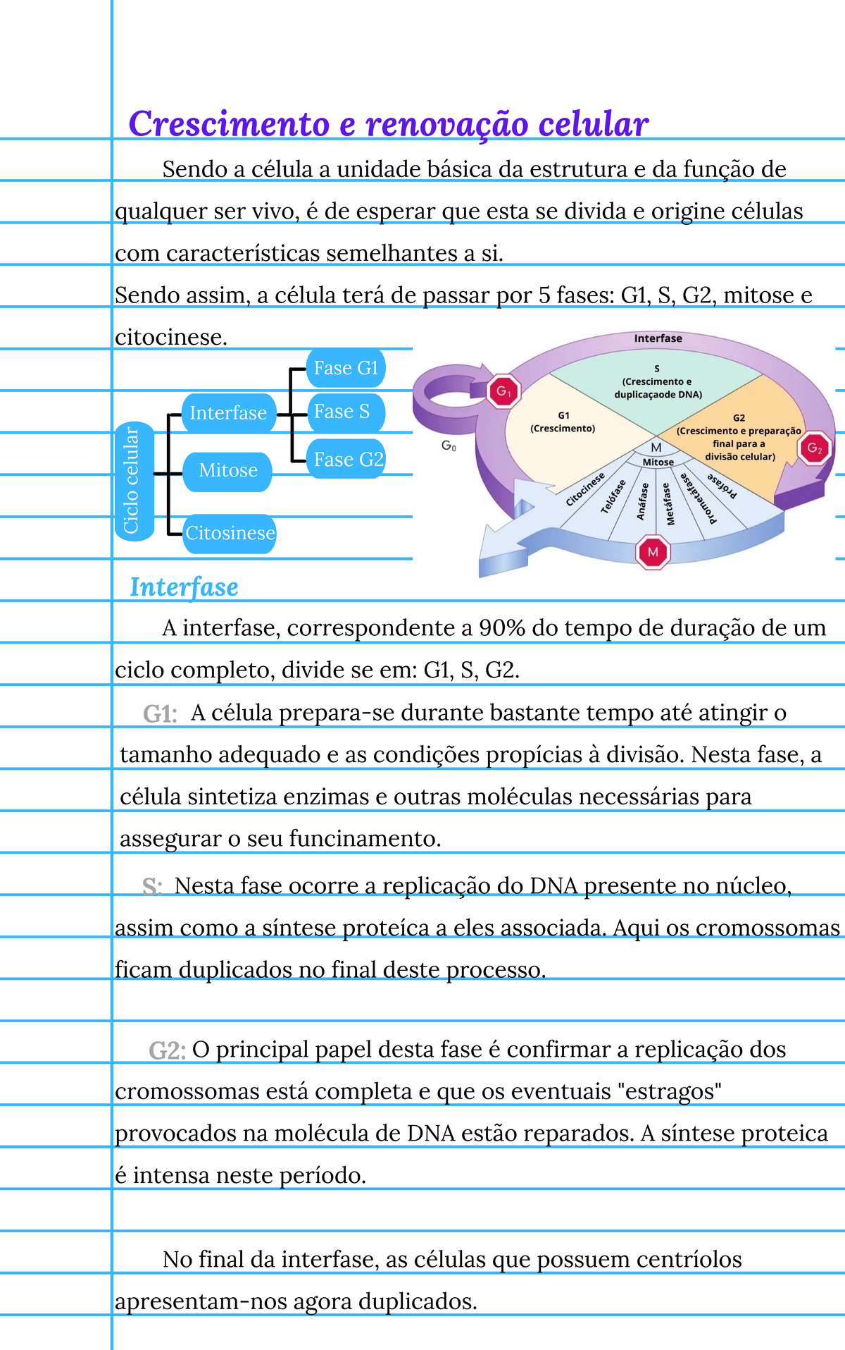 Biologia ciclo celular+ reprodução assexuada - Crescimento e renovação ...