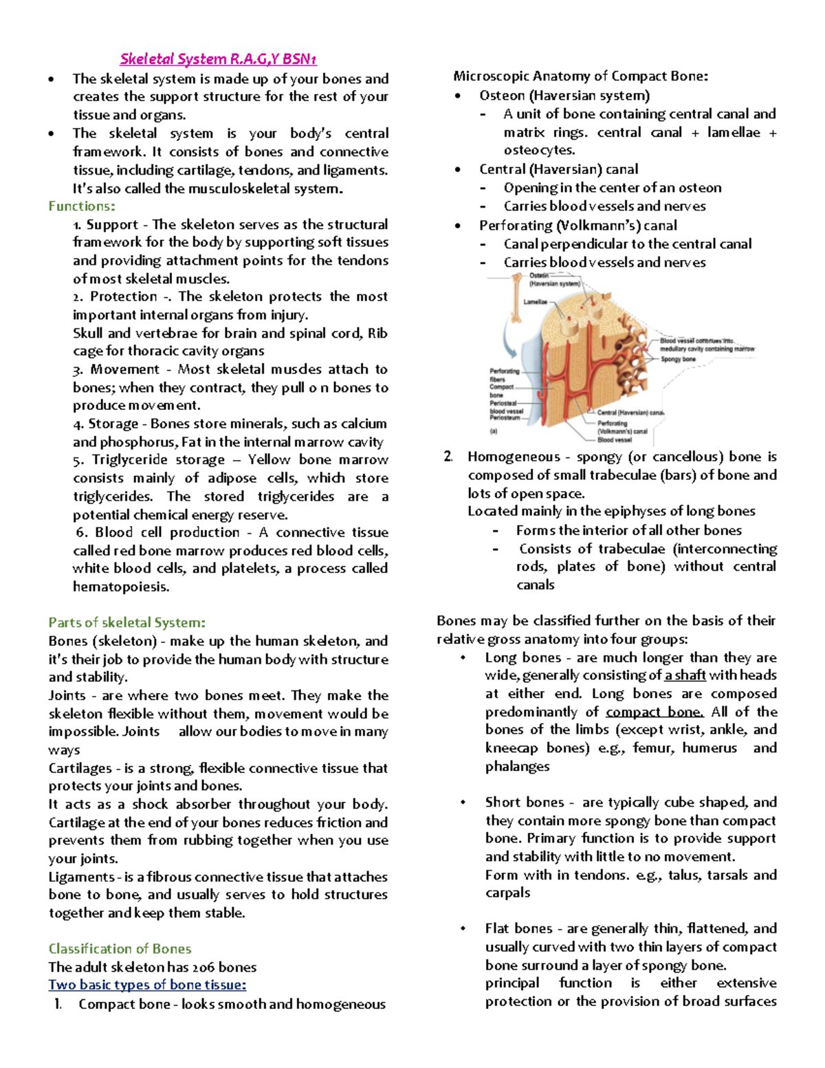 assignment 5 2 skeletal system case studies