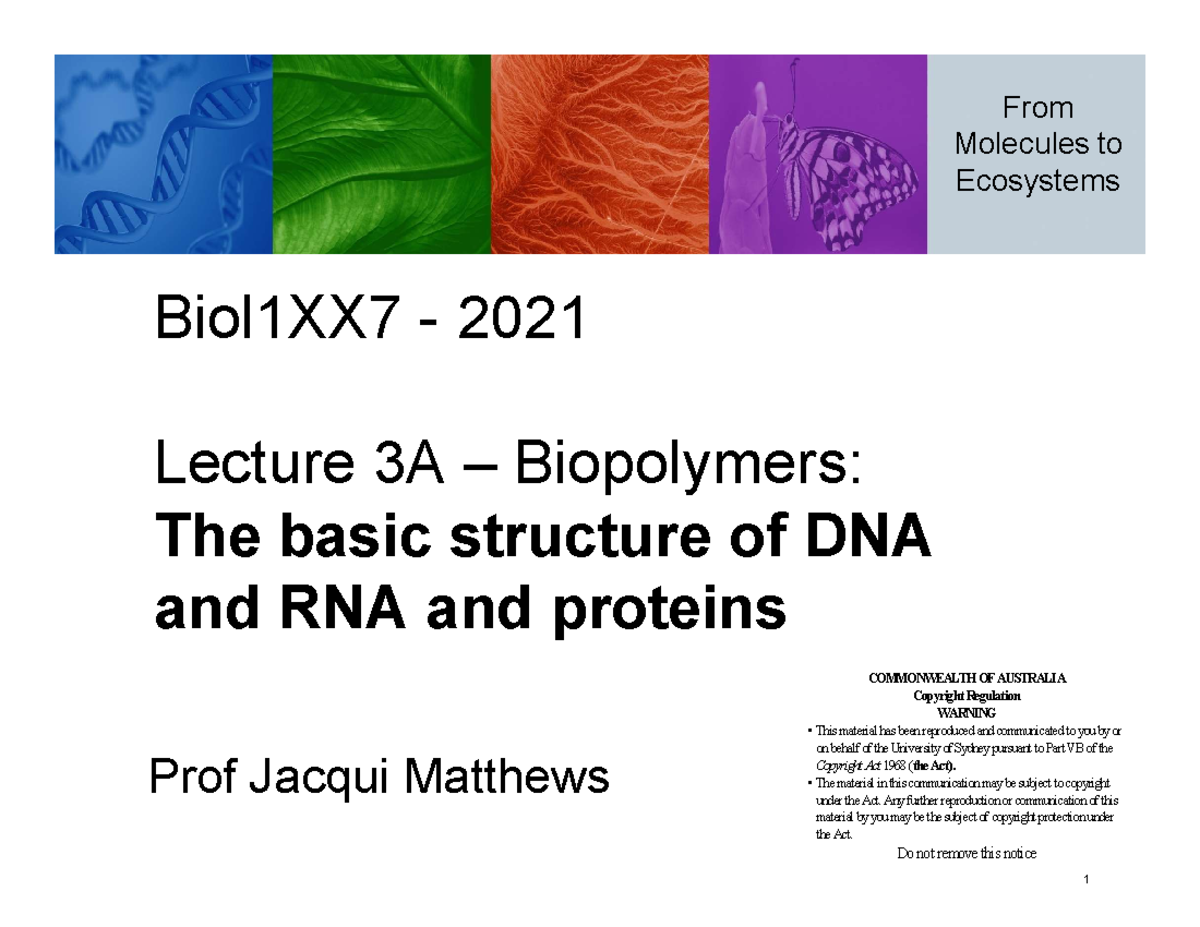 From Molecules Lecture 3A 21 - Biol1XX7 - 2021 Lecture 3A – Biopolymers ...