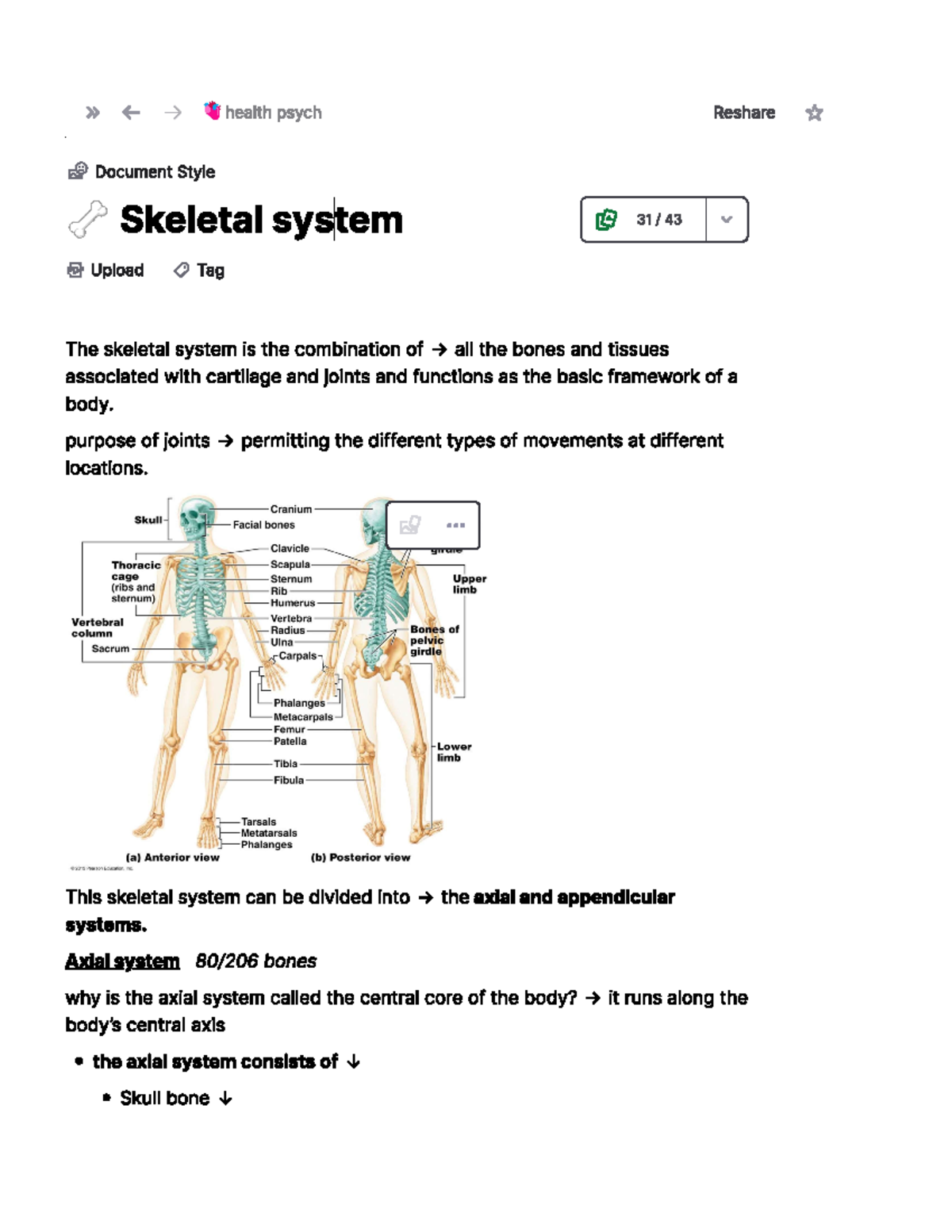 Skeletal - summary of topic from health psychology notes - Health ...