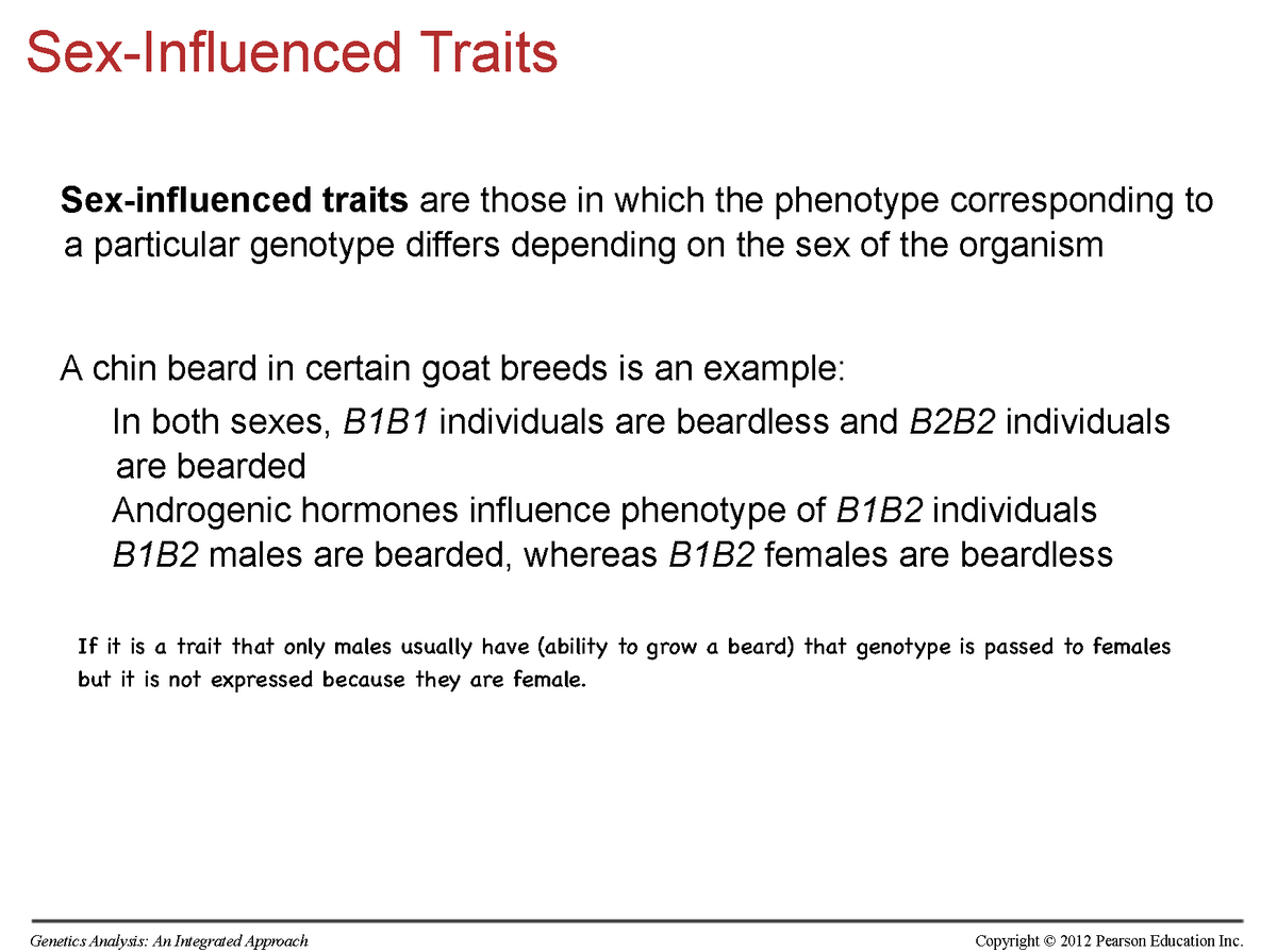 Genetics 2 13 Sex Influenced Traits Sex Influenced Traits Are Those In Which The Phenotype 6104