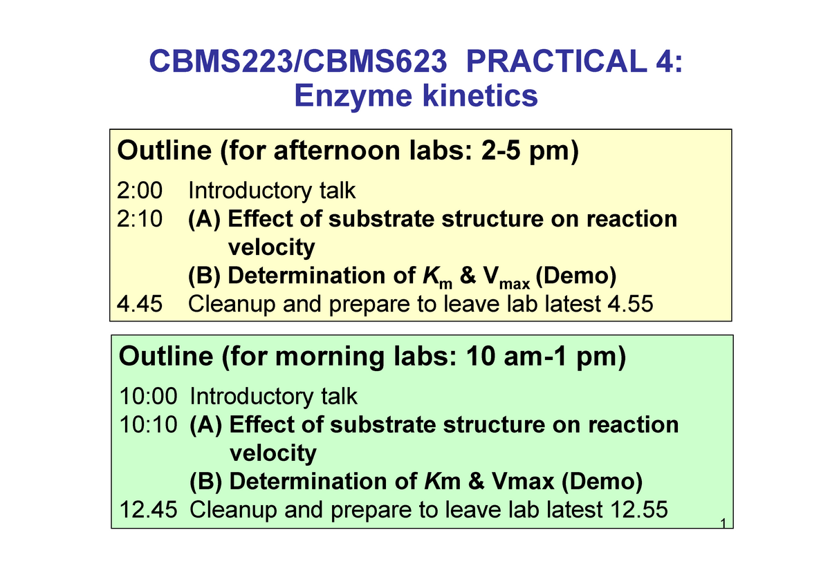 CBMS223 - Prac 4 - Enzyme Kinetics - Slides - PRACTICAL 4: Enzyme ...