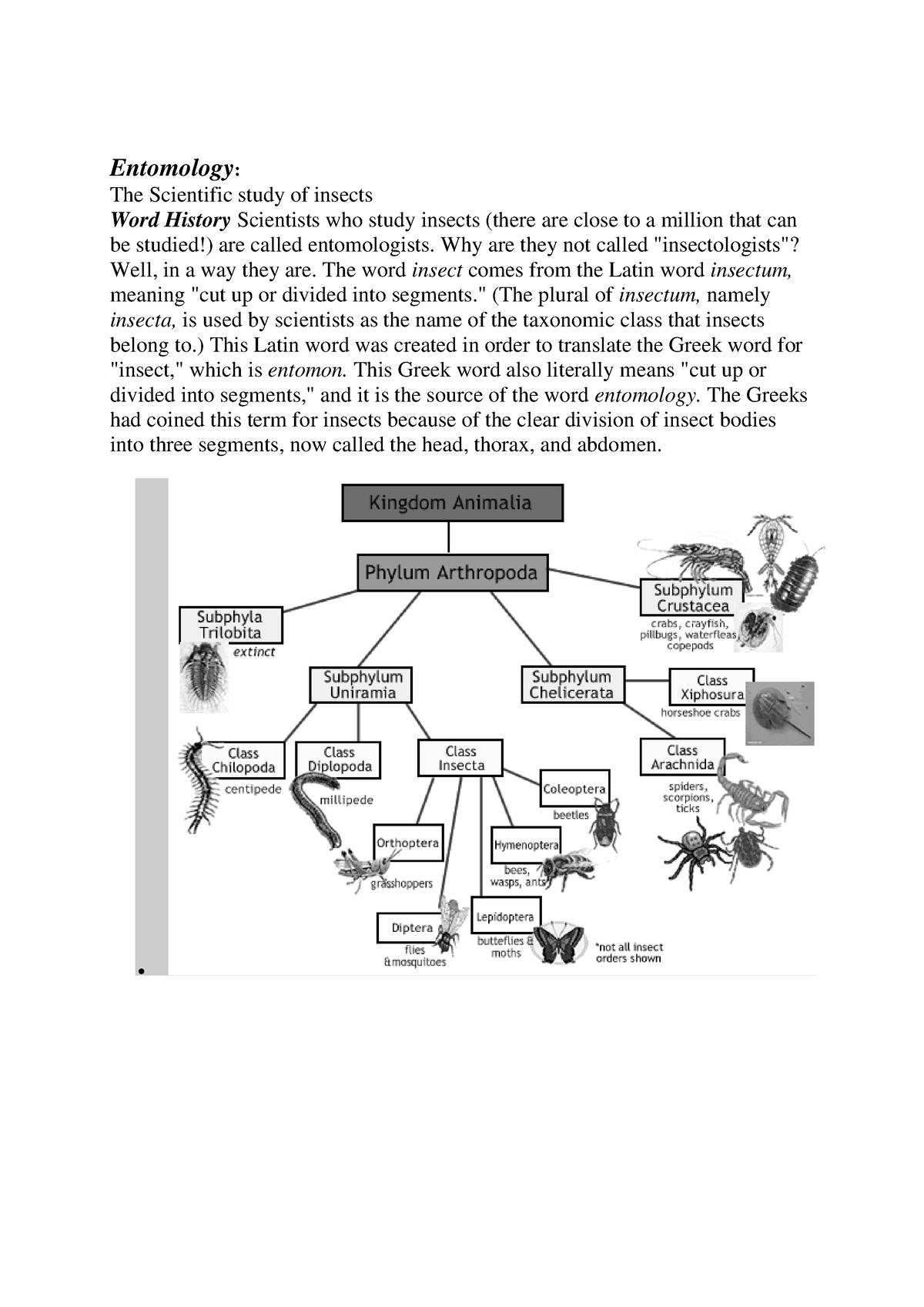 insects-book-entomology-the-scientific-study-of-insects-word-history