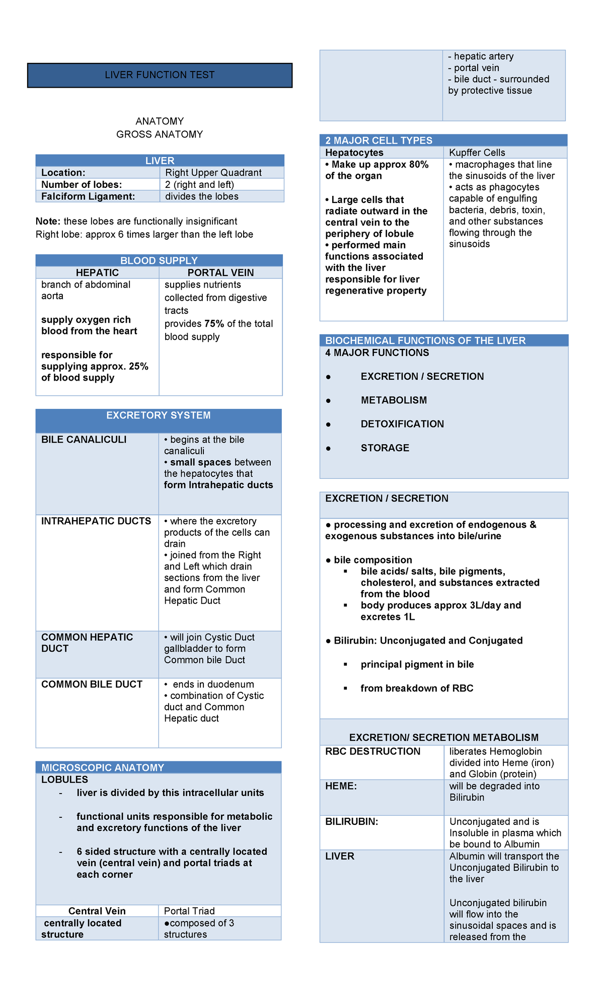 Liver Function TEST Bilirubin - LIVER FUNCTION TEST ANATOMY GROSS ...