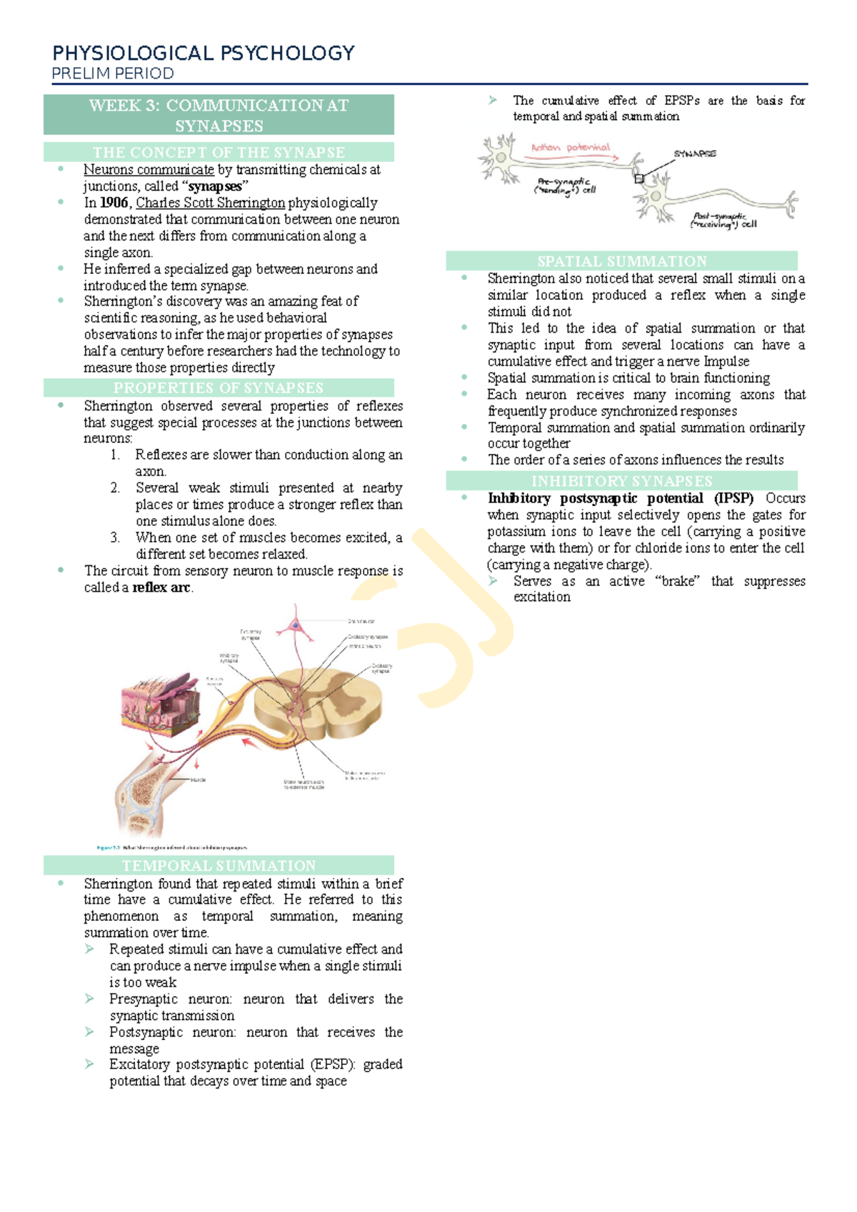 PHYP-W3 - COMMUNICATION AT SYNAPSES - PHYSIOLOGICAL PSYCHOLOGY PRELIM ...