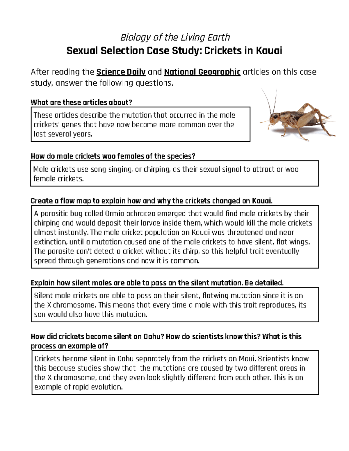 Sexual Selection Case Study Crickets in Kauai Google Docs Biology