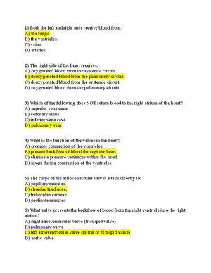 Quiz 2019 Questions And Answers Studocu