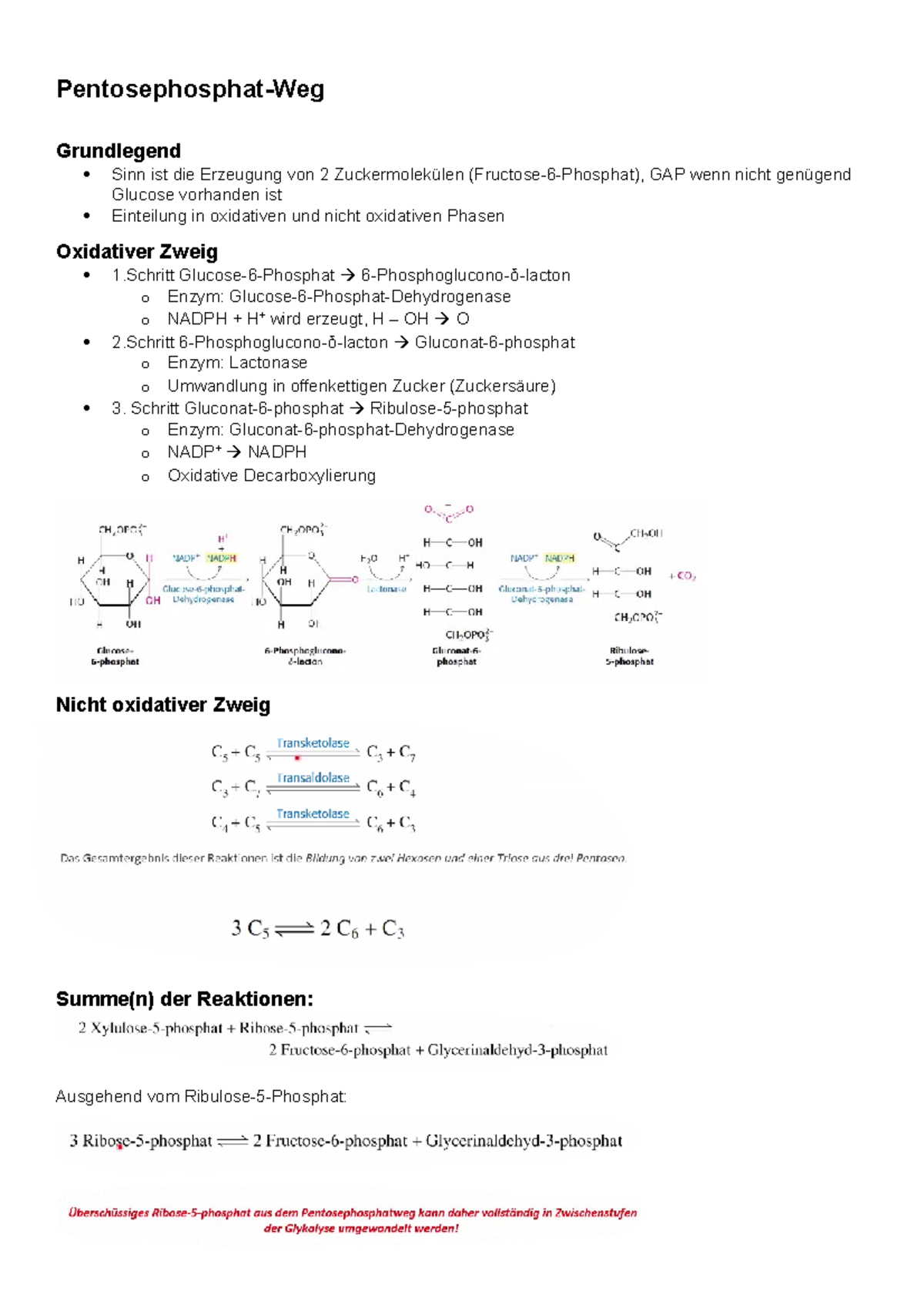10. Pentosephosphat PentosephosphatWeg Grundlegend Sinn ist die