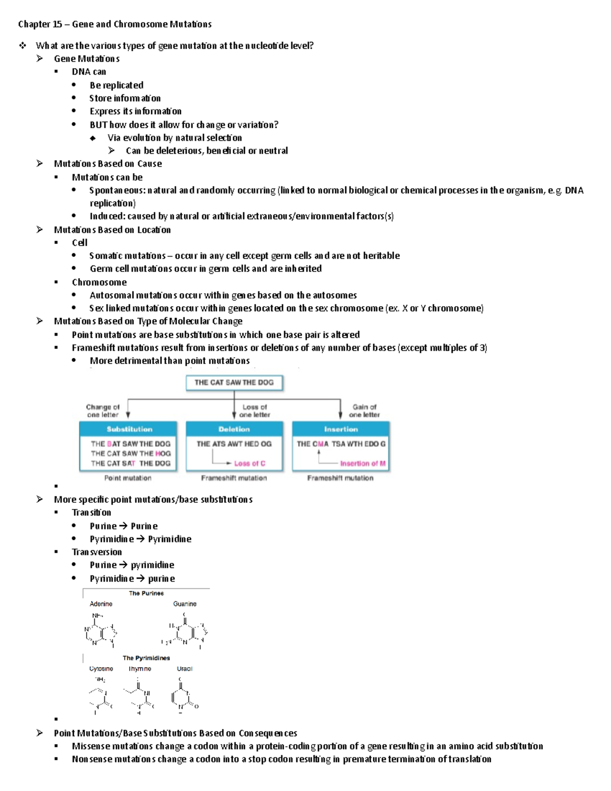 DNA and Bacteria Mutations - Chapter 15 – Gene and Chromosome Mutations ...