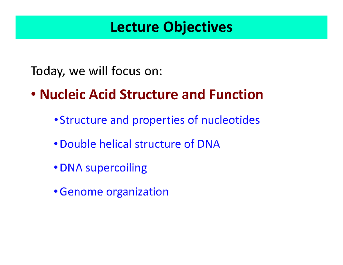 DNA NOTES lecture Lecture Objectives Today, we will focus on Nucleic