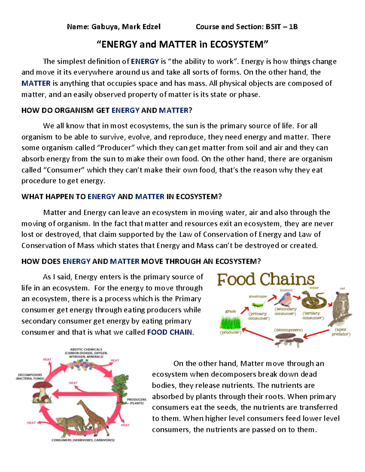 PPT4 Energy And Matter - Name: Gabuya, Mark Edzel Course And Section ...