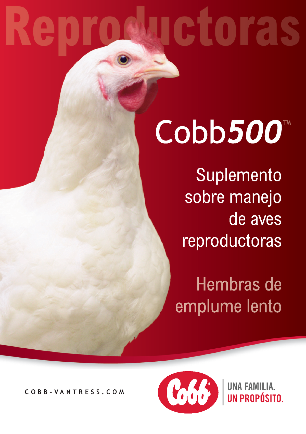 COBB 500 Reproductoras - Suplemento Sobre Manejo De Aves Reproductoras ...